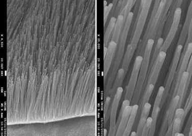 Projet Nanotube