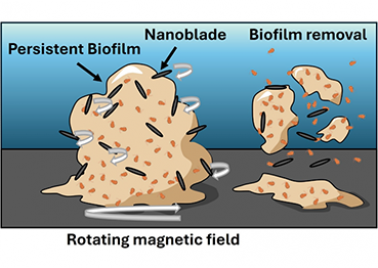 Bactericidal nanoblades project