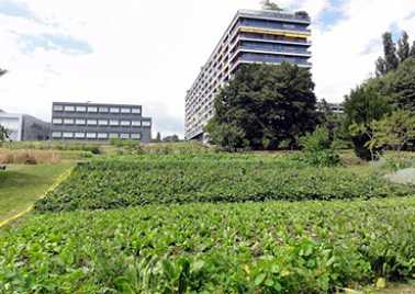 Projet AUSE -  Ferme de Budé