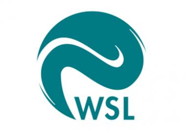 photo wsl