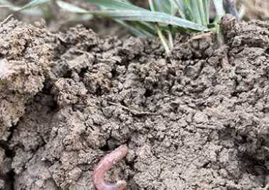 Projet Soil Lab