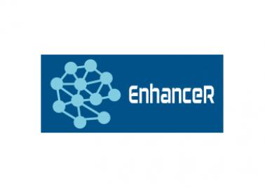 Logo de enhancer