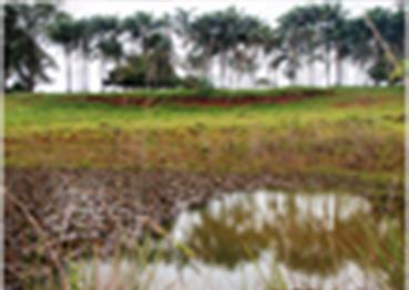 photo cerrado