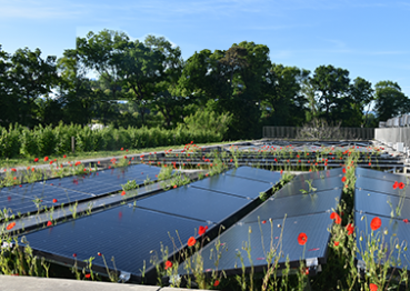 Toitures biosolaires à HEPIA site de Lullier