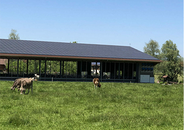 Projet Constructions agricoles