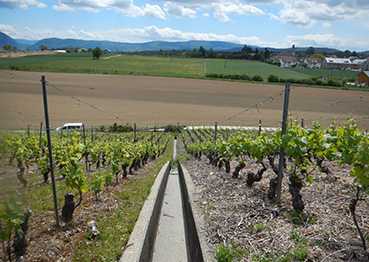 Plan Climat Vaud project