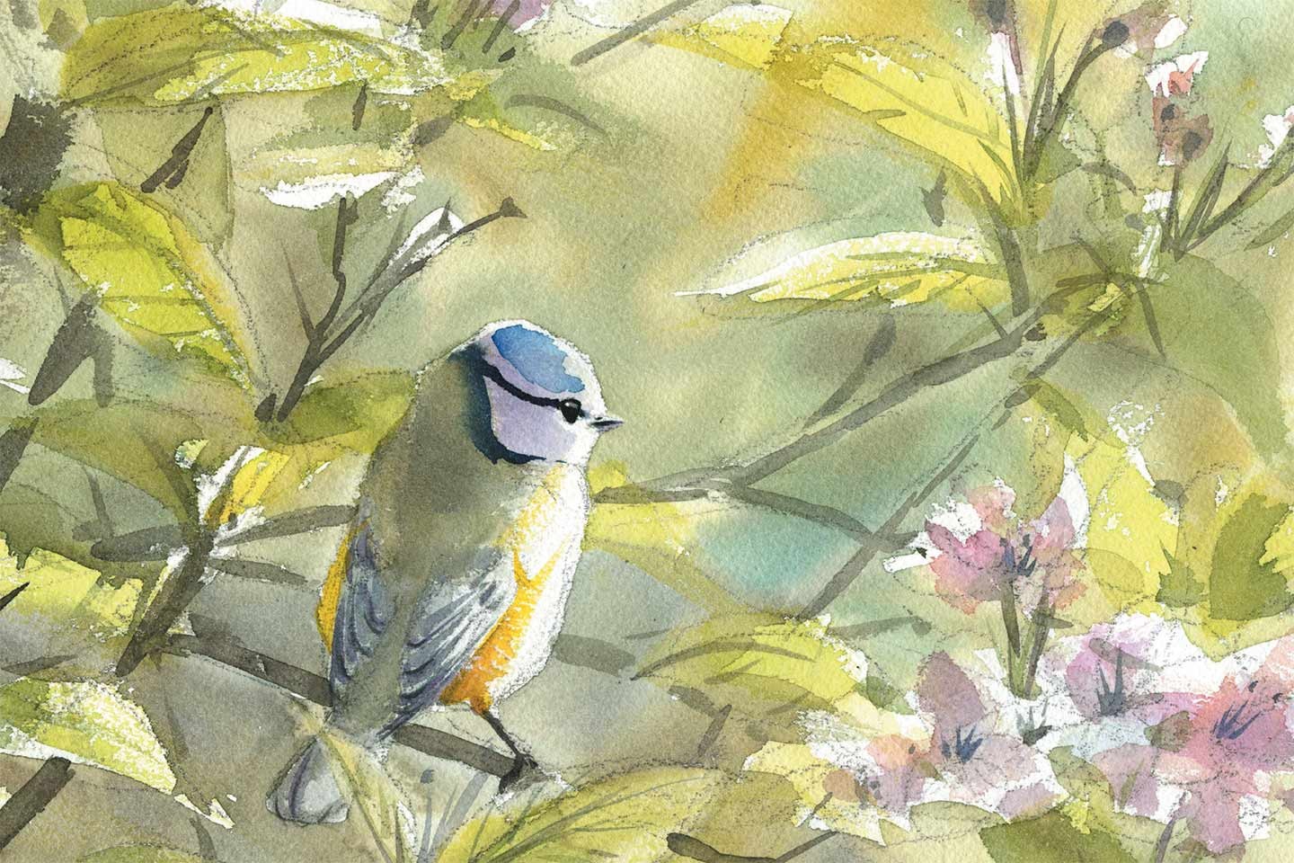 Alessandro-Pignocchi